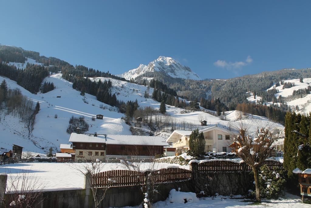 Haus Schönegger Apartment *