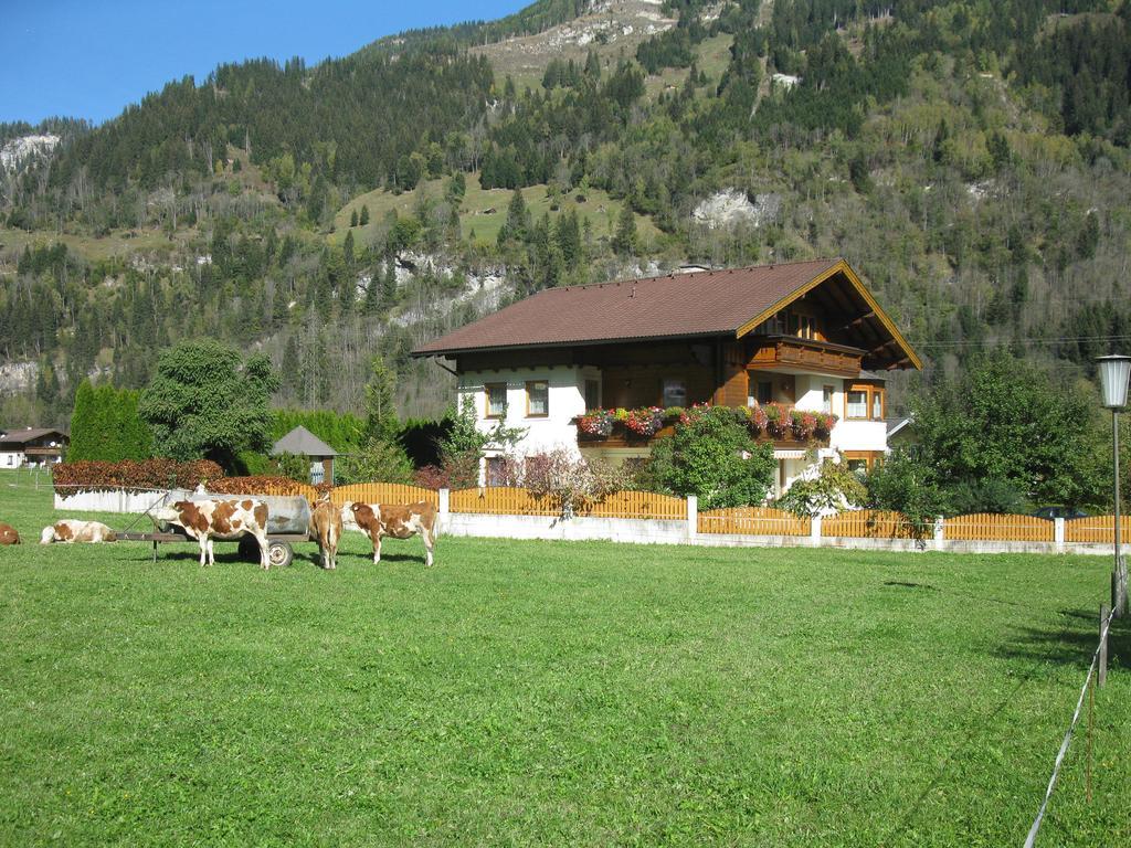Haus Schönegger Apartment *